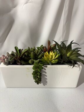 Modern White Ceramic Planter with Mixed Green Succulents